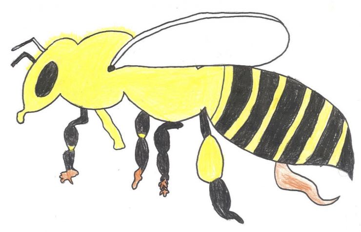 1st grade artwork of bees