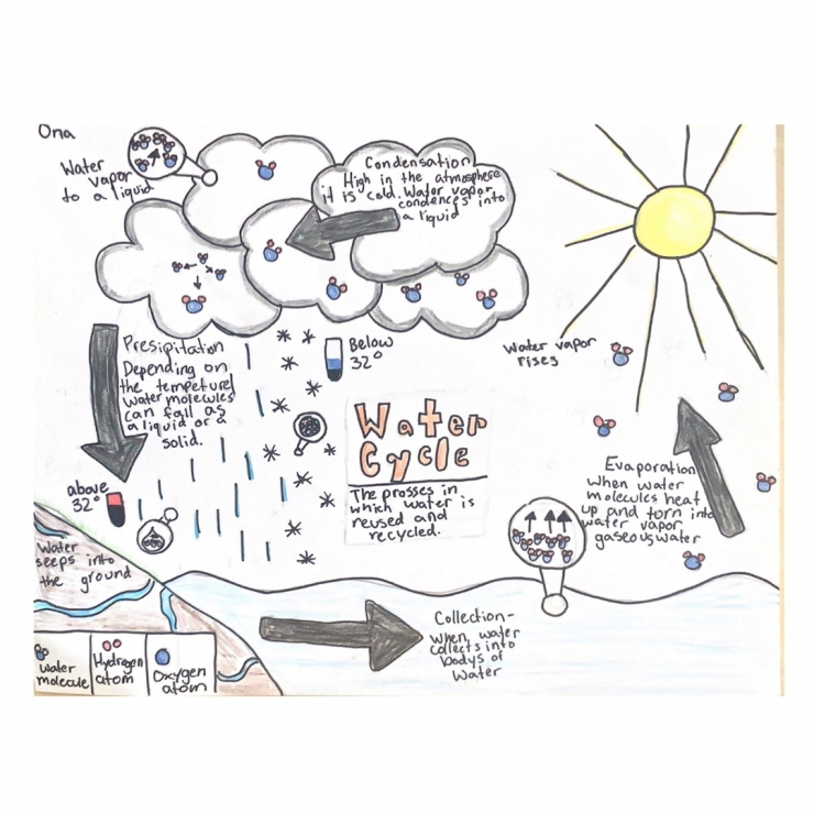 5th grade: Water Cycle Posters
